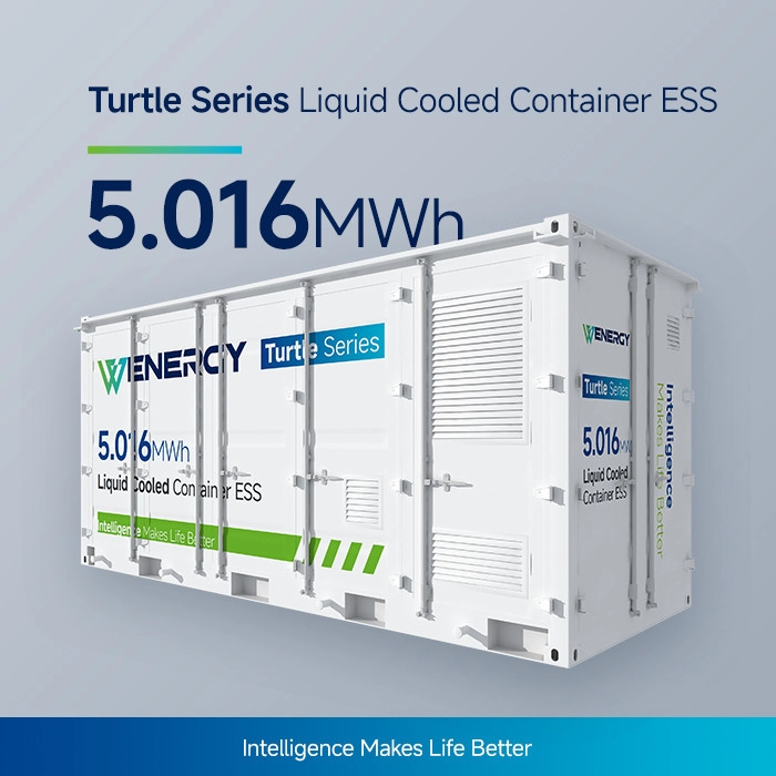 Lithium Ion 5MWh Container Energy Storage System