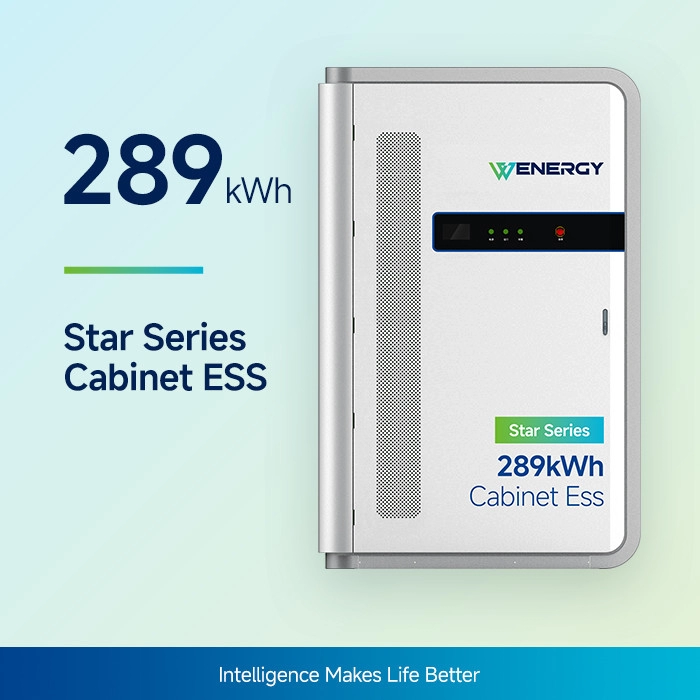 289kWh Liquid Cooled Commercial Battery Storage Systems , Energy Storage Cabinet