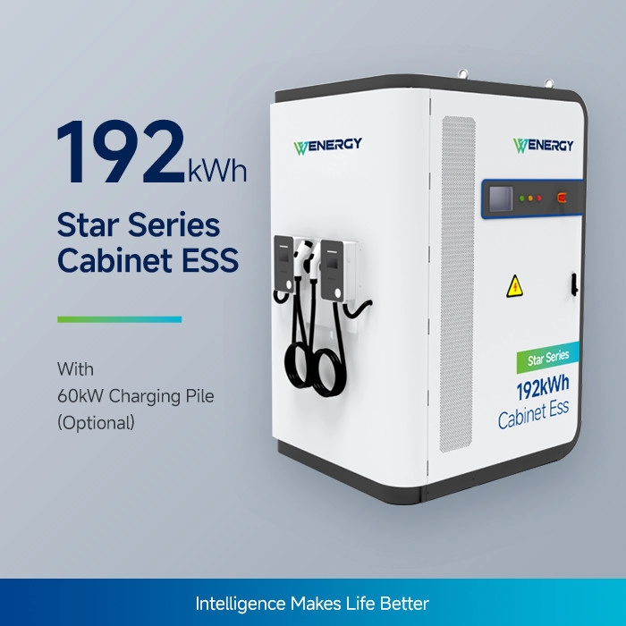 192kWh Industrial Commercial Battery Storage Systems Anti Corrosion Solar Energy System