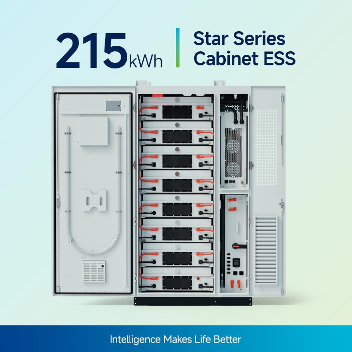 Star Series 100KW/215kWh All-In-One BESS Battery System